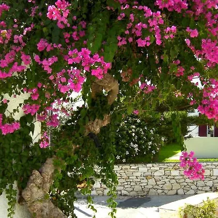 Astoria Paros * Naousa (Paros)